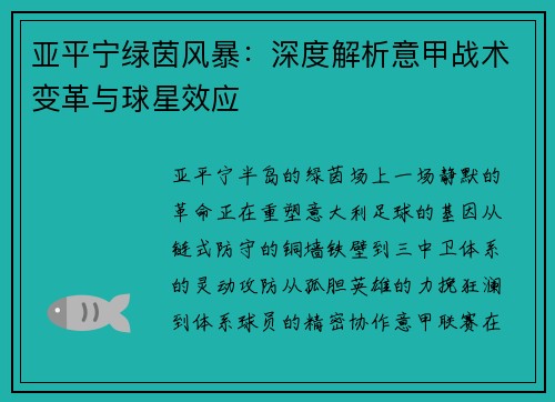 亚平宁绿茵风暴：深度解析意甲战术变革与球星效应