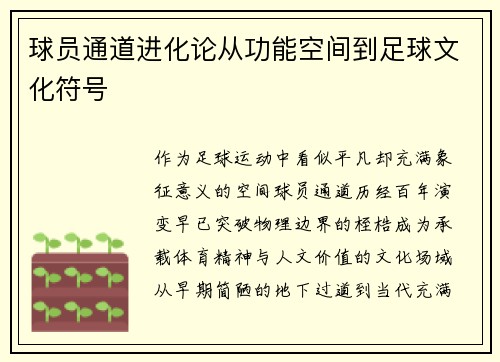 球员通道进化论从功能空间到足球文化符号